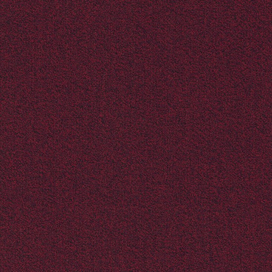  03 Millennium Nxtgen